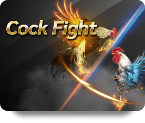 การวิเคราะห์การแข่งขันไก่ชนใน UFABET อย่างมืออาชีพ