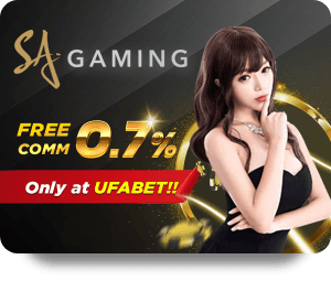 แนะนำฟีเจอร์ใหม่ใน SiamCrypto เว็บหลัก ที่ไม่ควรพลาด